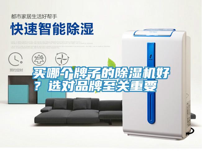 买哪个牌子的除湿机好？选对品牌至关重要
