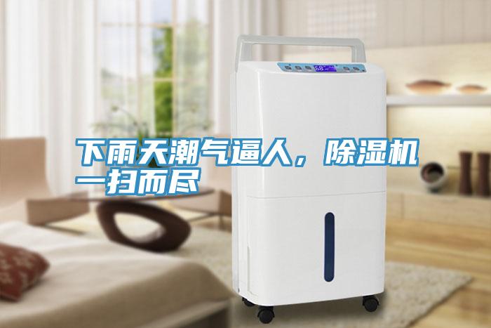 下雨天潮气逼人，除湿机一扫而尽