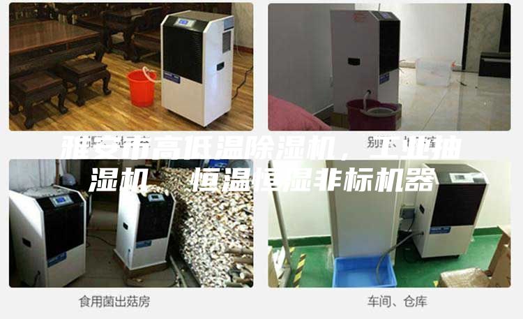 雅安市高低温除湿机，工业抽湿机  恒温恒湿非标机器