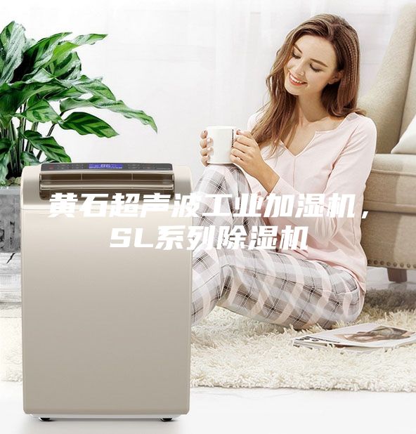 黄石超声波工业加湿机，SL系列除湿机